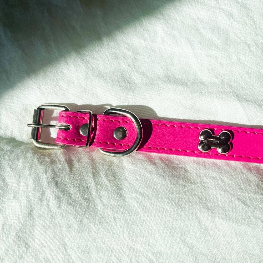 Dog collar